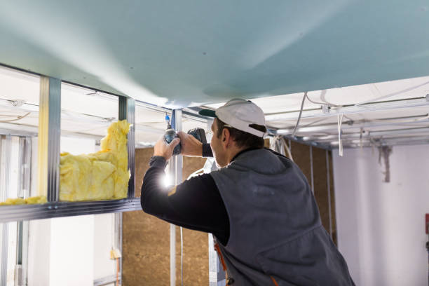 Best Insulation Contractor Near Me  in Villas, FL