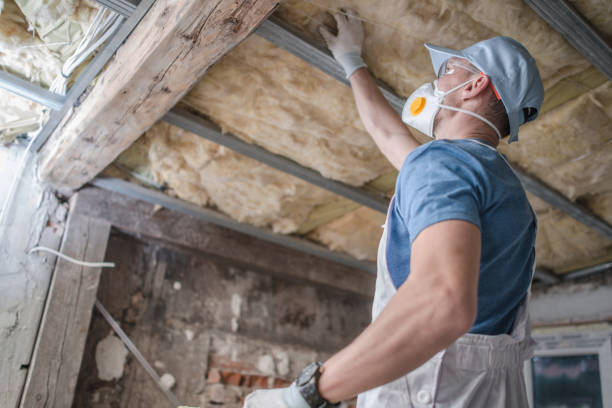 Best Best Insulation Companies  in Villas, FL