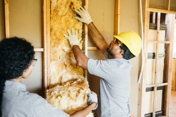 Best Crawl Space Insulation  in Villas, FL