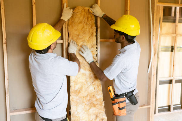 Best Commercial Insulation Contractor  in Villas, FL