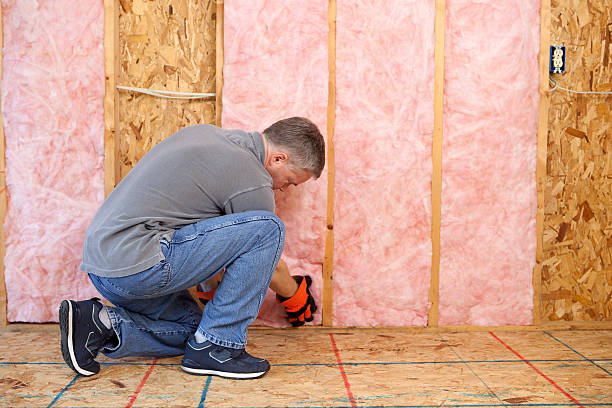 Best Insulation Contractors for Homes  in Villas, FL