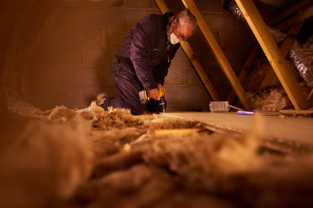 Best Home Insulation Services  in Villas, FL