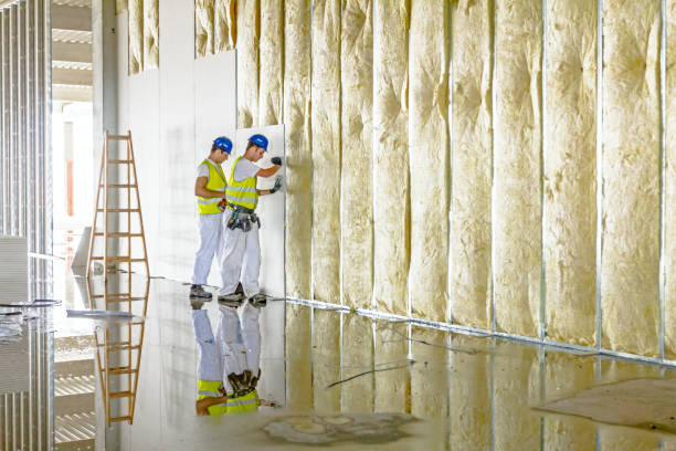 Best Cellulose Insulation  in Villas, FL